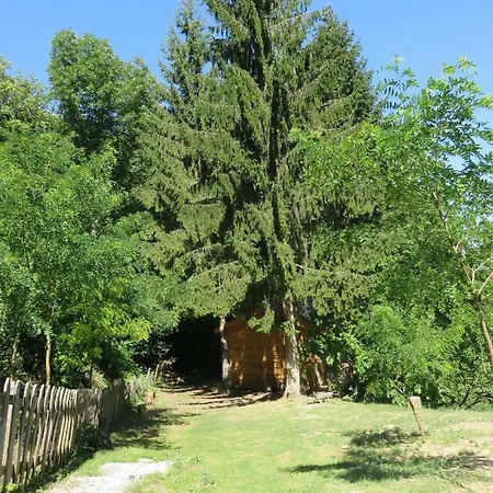 La Cabane Aux Sapins Ratieres Exterior photo
