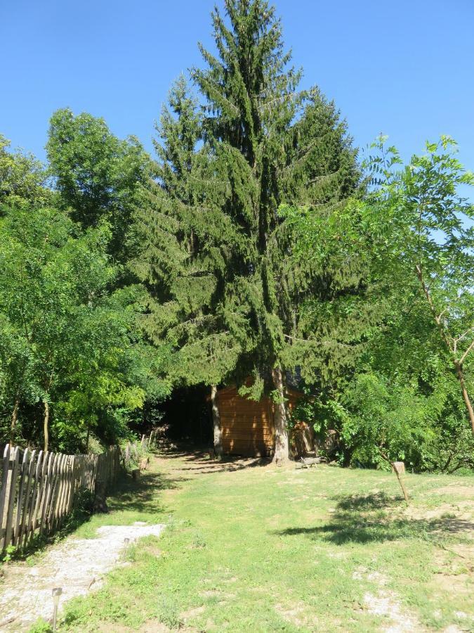 La Aux Sapins Ratieres